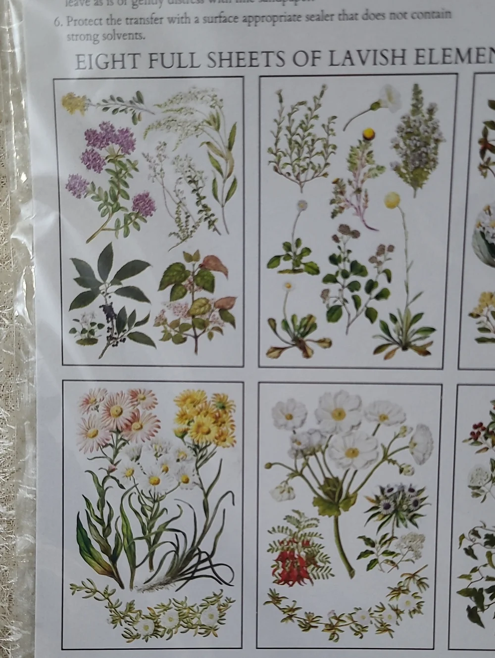Iron Orchid Designs new package